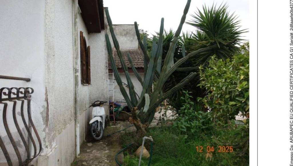 immagine annuncio 12 di 15