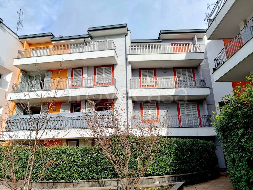 immagine annuncio 9 di 15