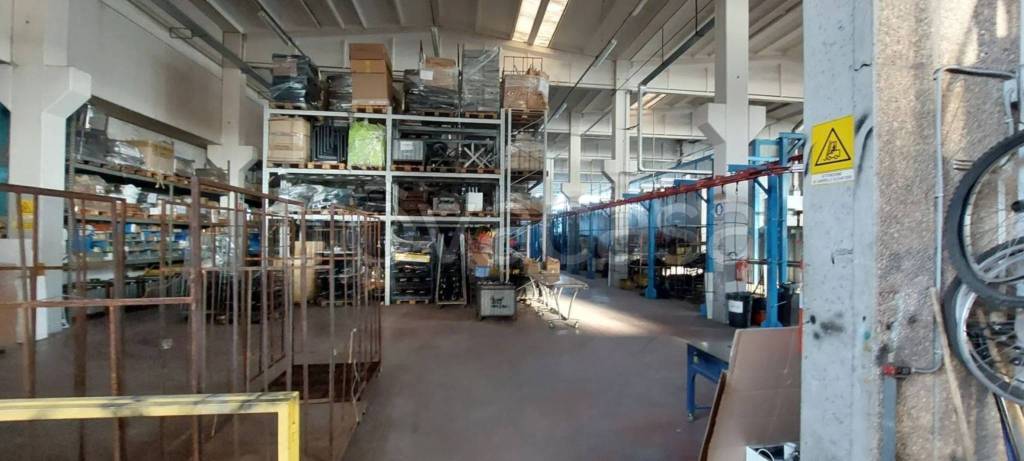 immagine annuncio 12 di 15