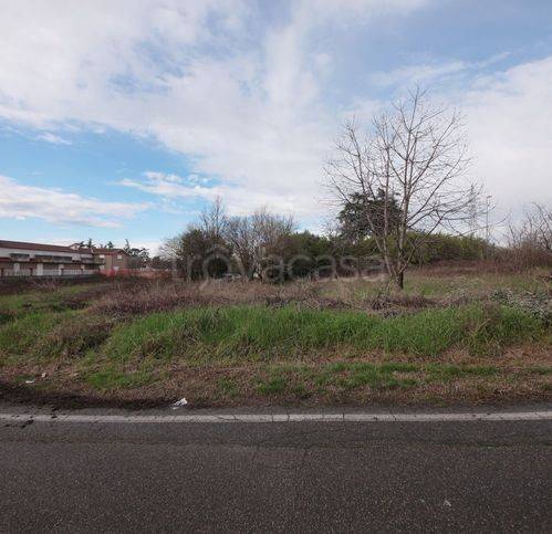 immagine annuncio 3 di 8