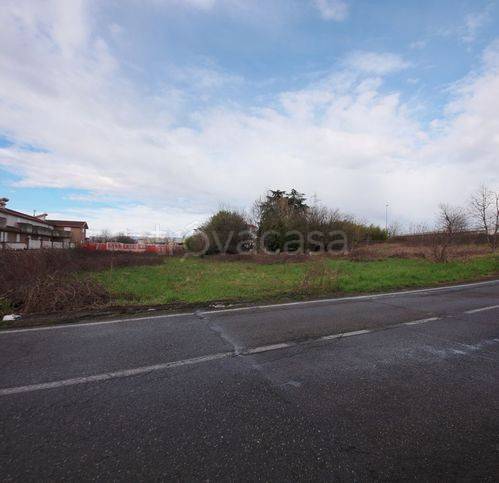 immagine annuncio 4 di 8