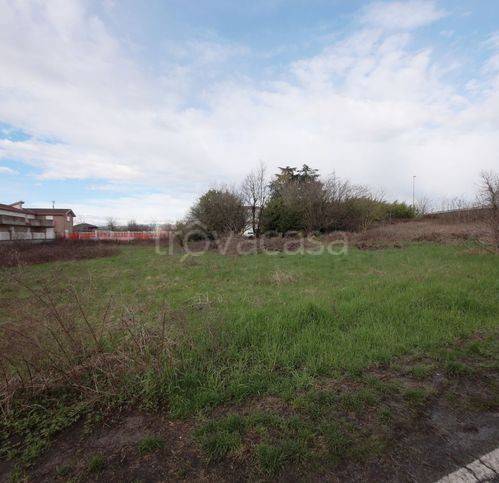 immagine annuncio 5 di 8