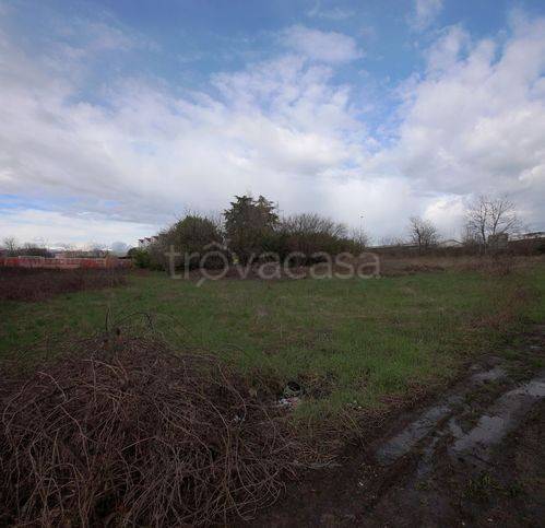 immagine annuncio 6 di 8