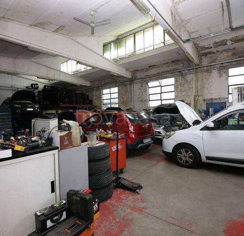 immagine annuncio 3 di 15