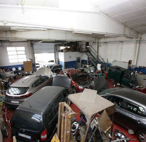 immagine annuncio 7 di 15