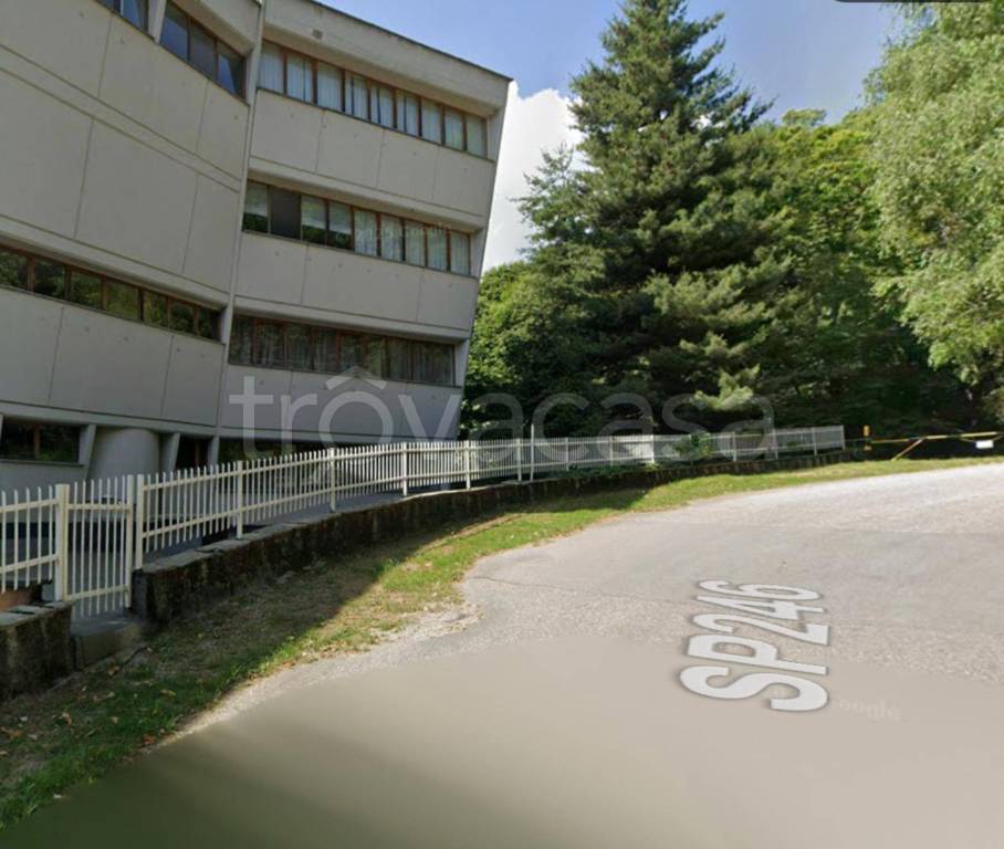 immagine annuncio 11 di 12