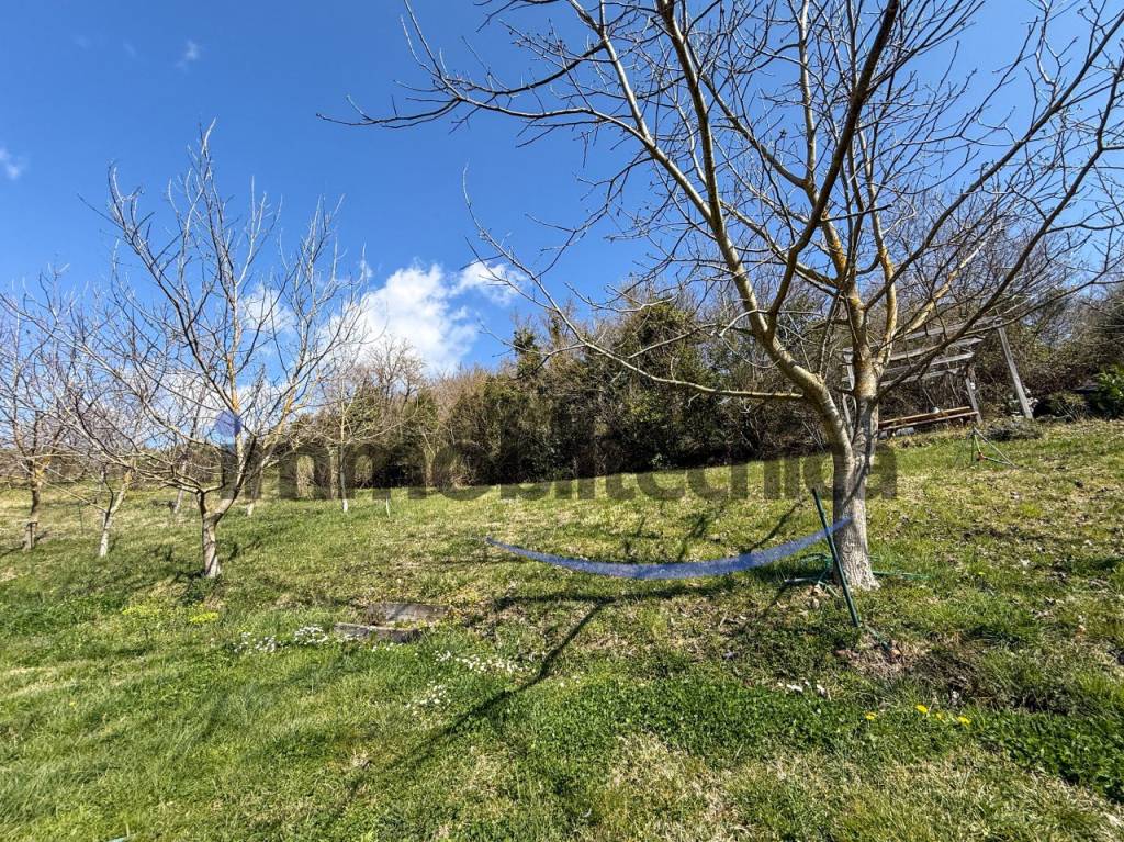 immagine annuncio 8 di 9