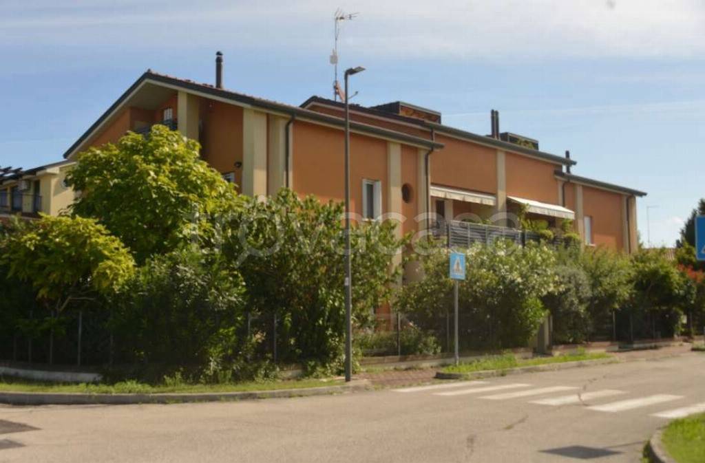 immagine annuncio 8 di 15