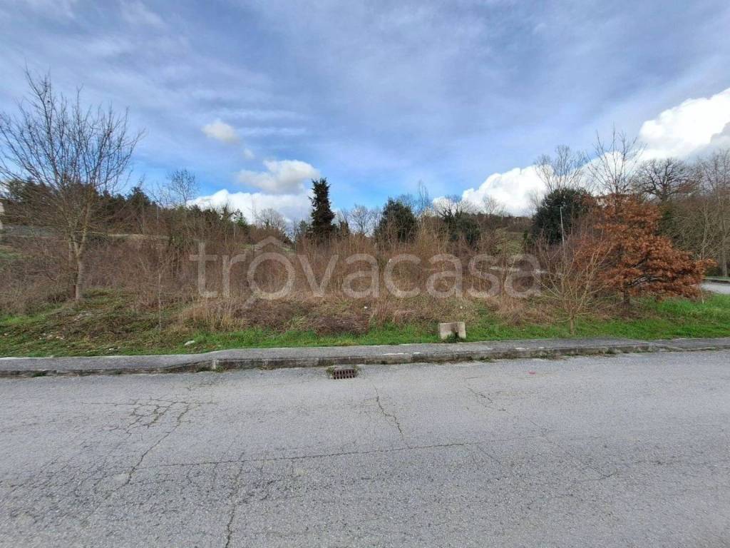 immagine annuncio 5 di 9