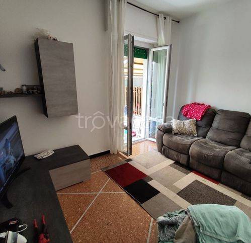 immagine annuncio 4 di 13