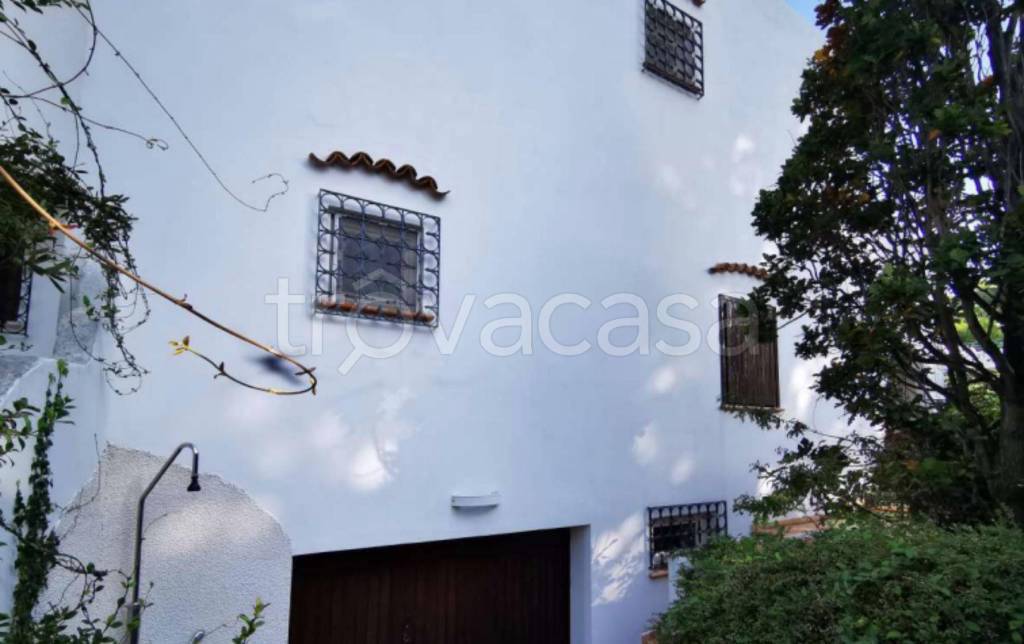 immagine annuncio 4 di 11