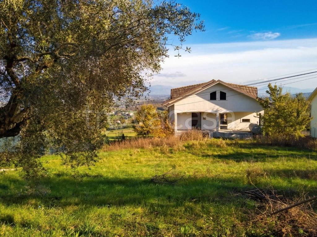 immagine annuncio 10 di 12