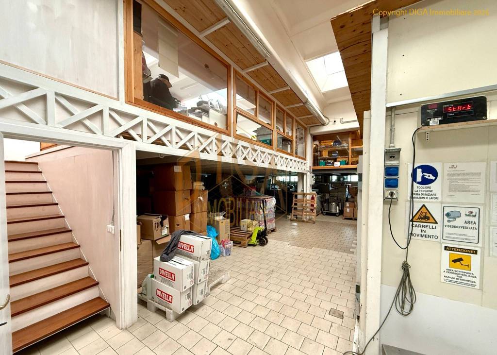 immagine annuncio 2 di 6