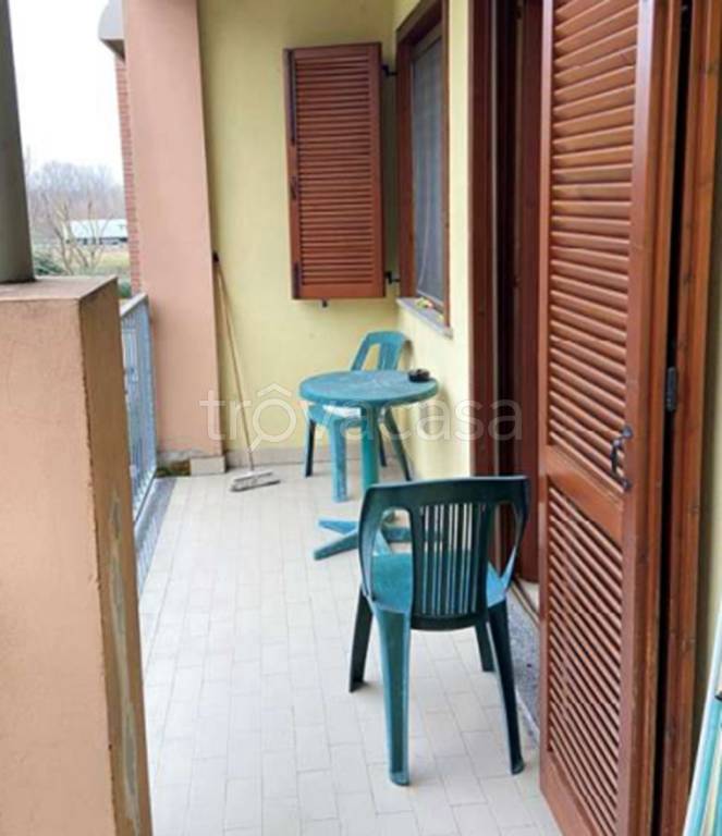 immagine annuncio 3 di 13