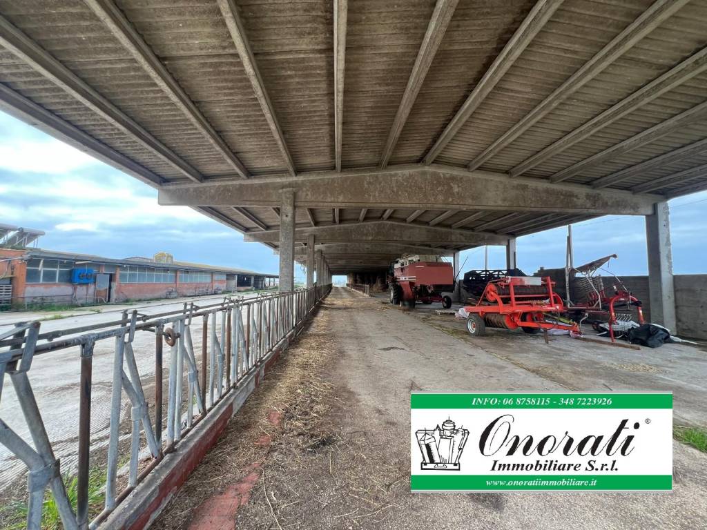 immagine annuncio 4 di 7