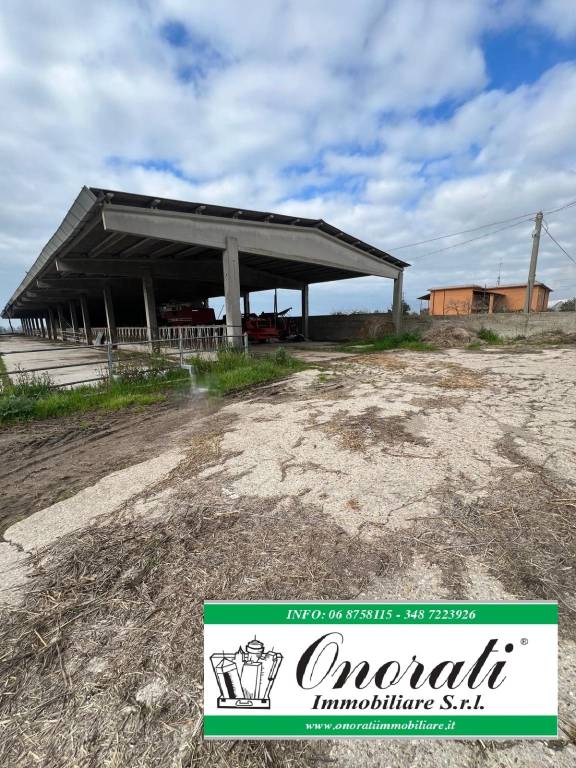 immagine annuncio 5 di 7