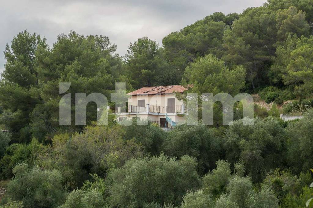 immagine annuncio 9 di 11