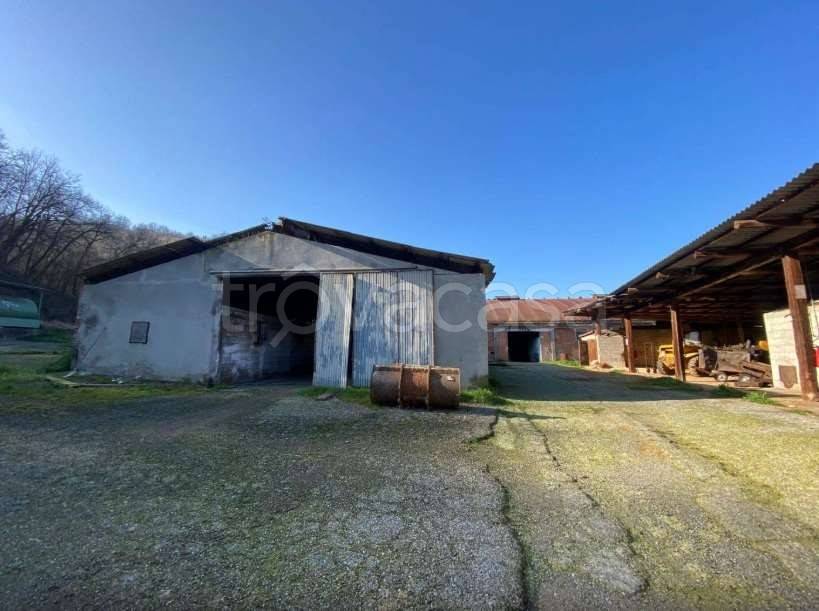 immagine annuncio 8 di 14