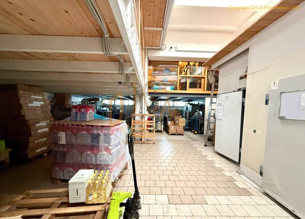 immagine annuncio 5 di 6