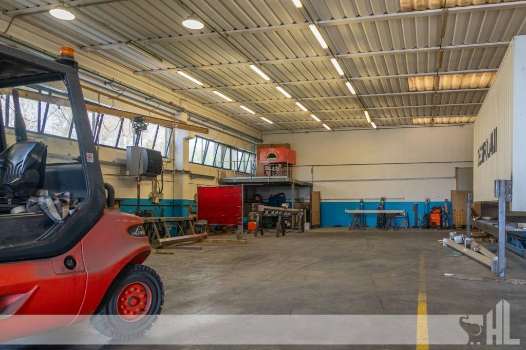 immagine annuncio 11 di 15