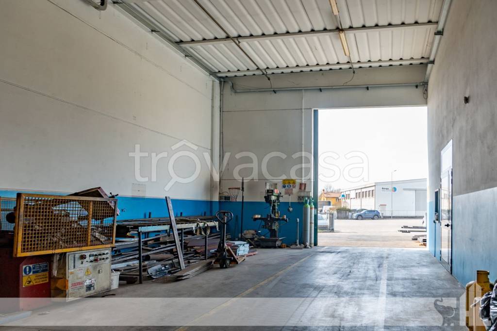 immagine annuncio 12 di 15