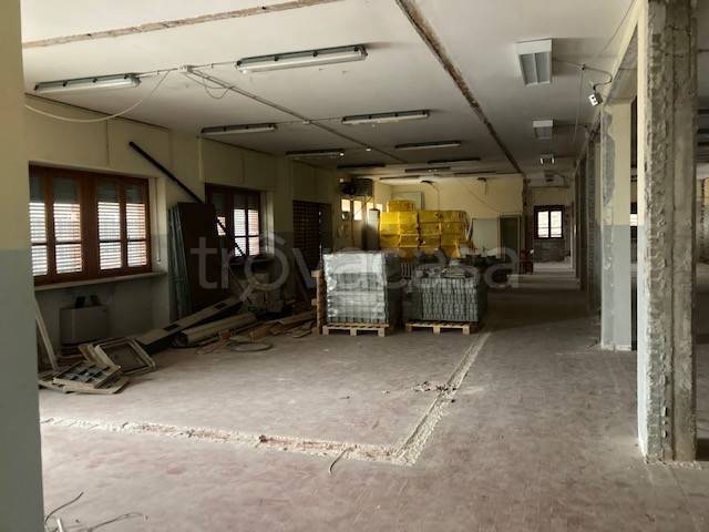 immagine annuncio 4 di 11