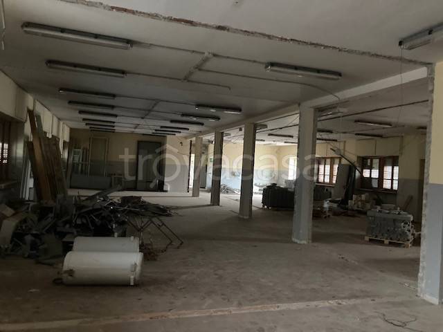 immagine annuncio 6 di 11