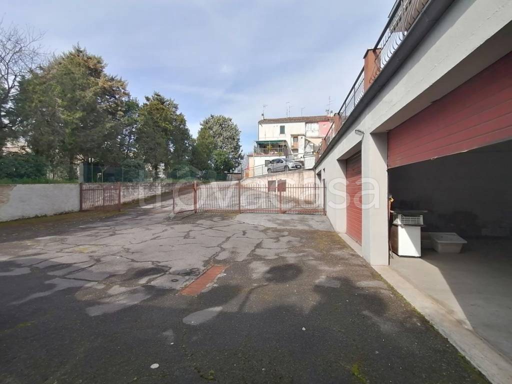 immagine annuncio 9 di 11