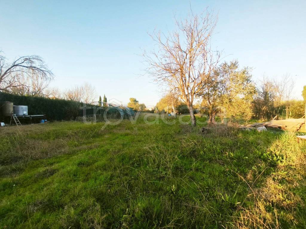 immagine annuncio 4 di 6