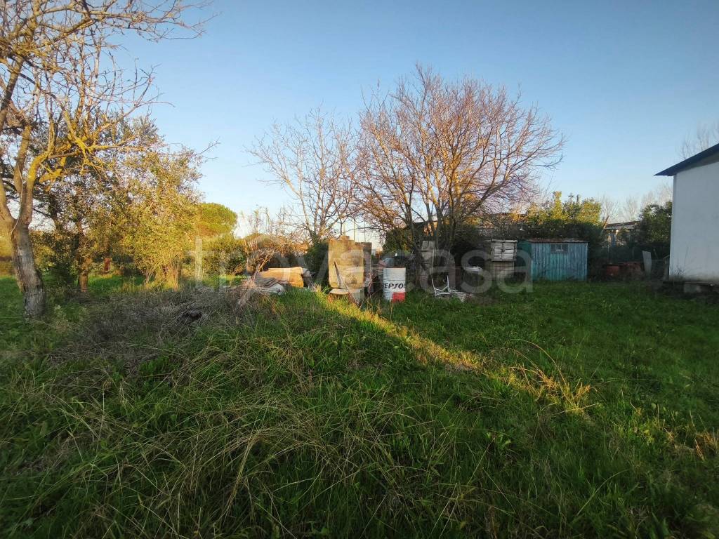 immagine annuncio 3 di 6