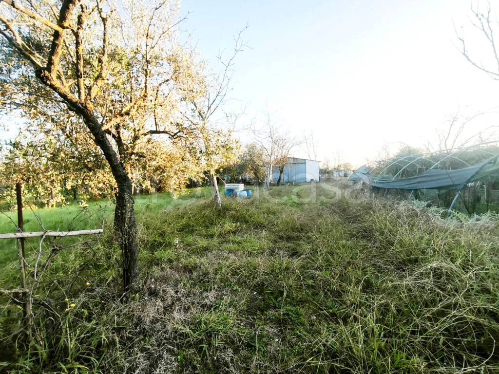 immagine annuncio 5 di 6