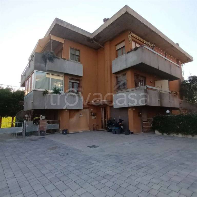 immagine annuncio 10 di 12