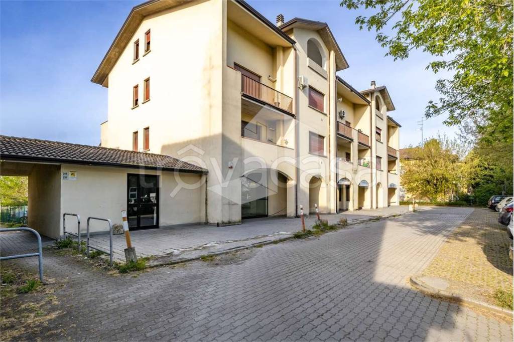 immagine annuncio 2 di 11