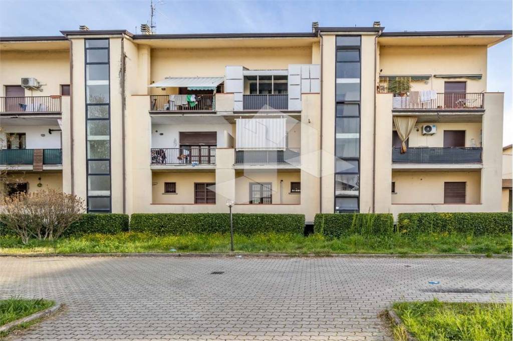 immagine annuncio 4 di 11