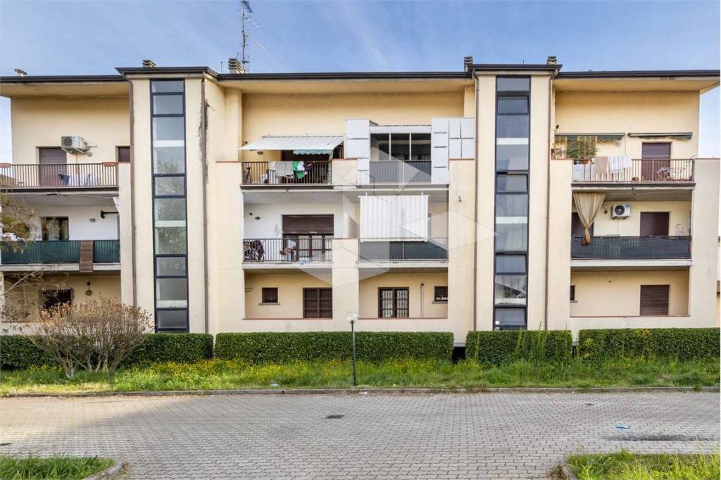 immagine annuncio 5 di 11