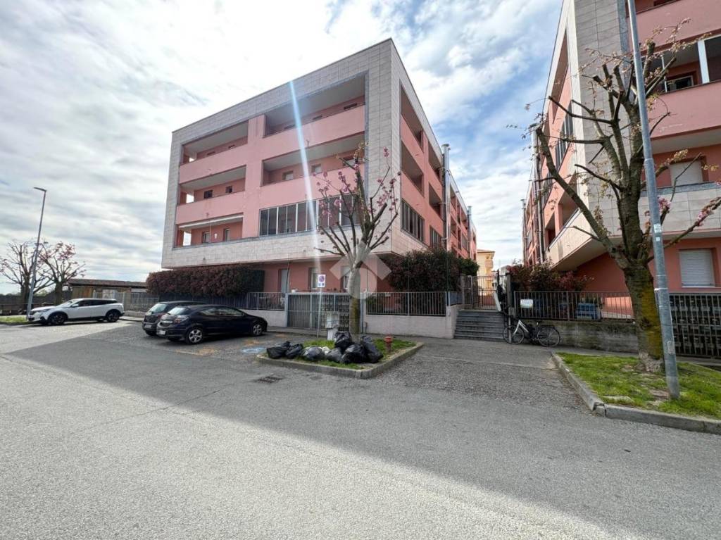 immagine annuncio 6 di 15