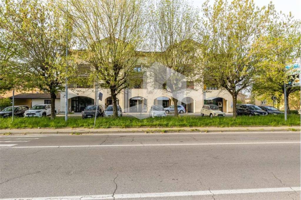 immagine annuncio 6 di 12