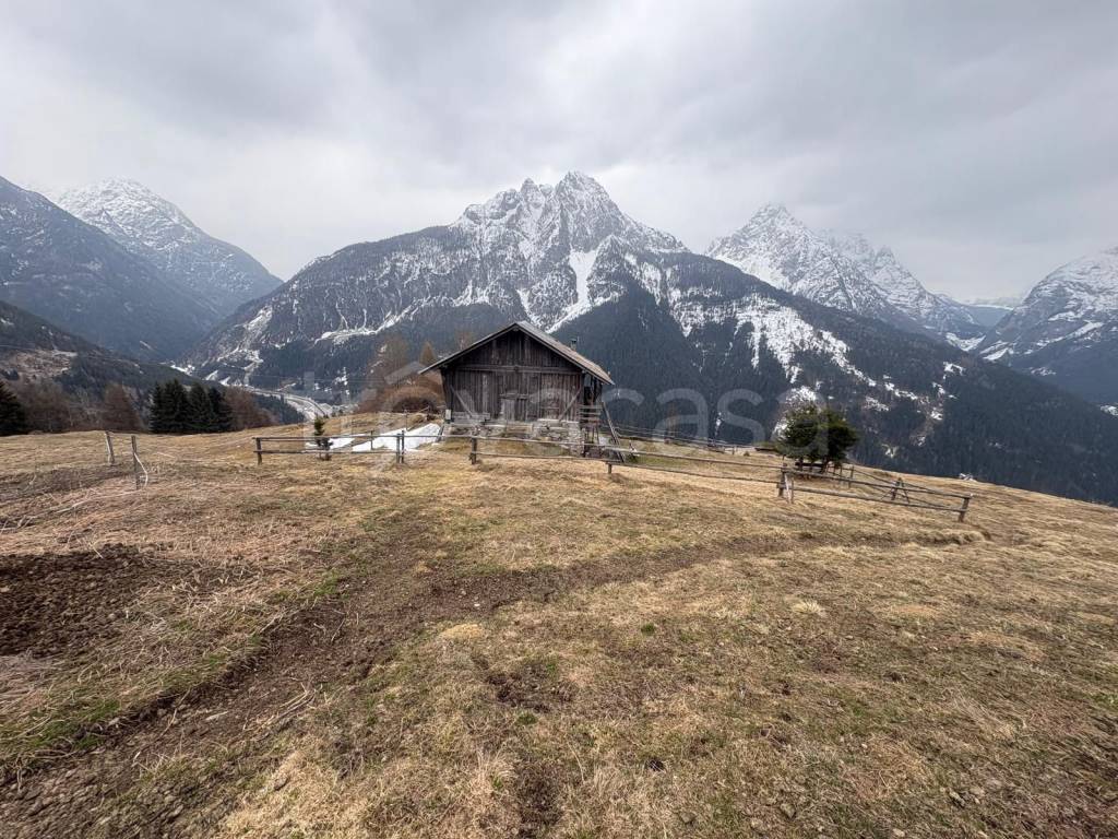 immagine annuncio 14 di 15