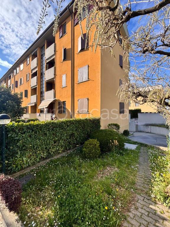 immagine annuncio 2 di 15