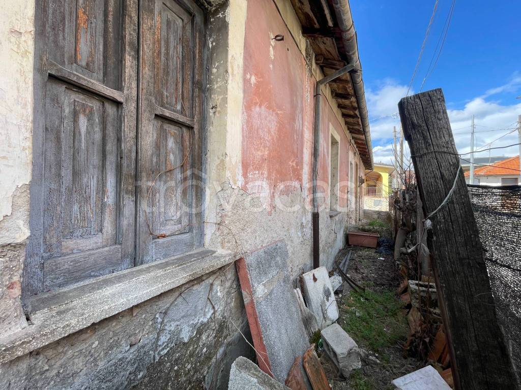 immagine annuncio 5 di 14