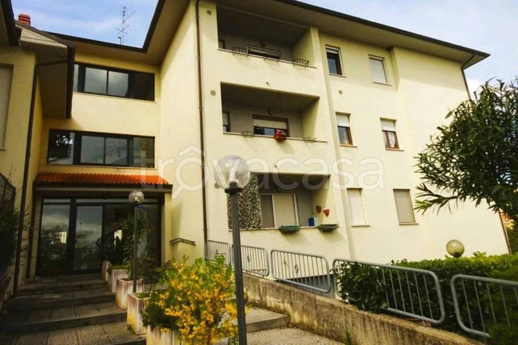 immagine annuncio 1 di 8