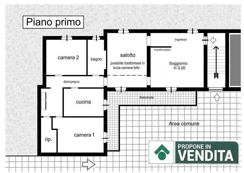 immagine annuncio 12 di 13