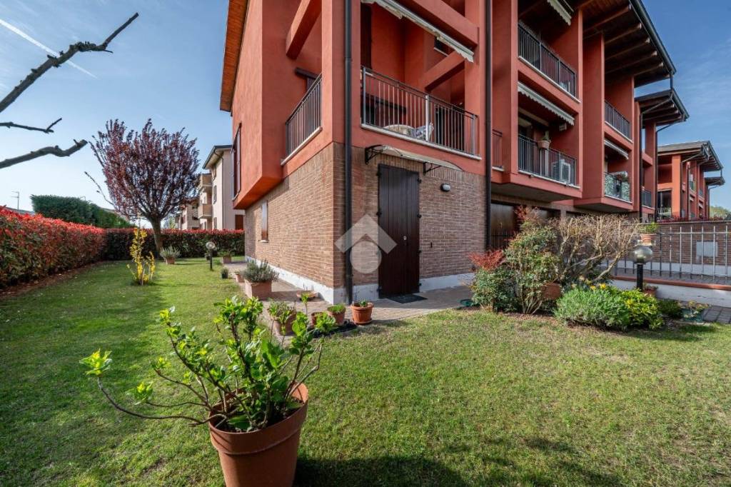 immagine annuncio 2 di 15