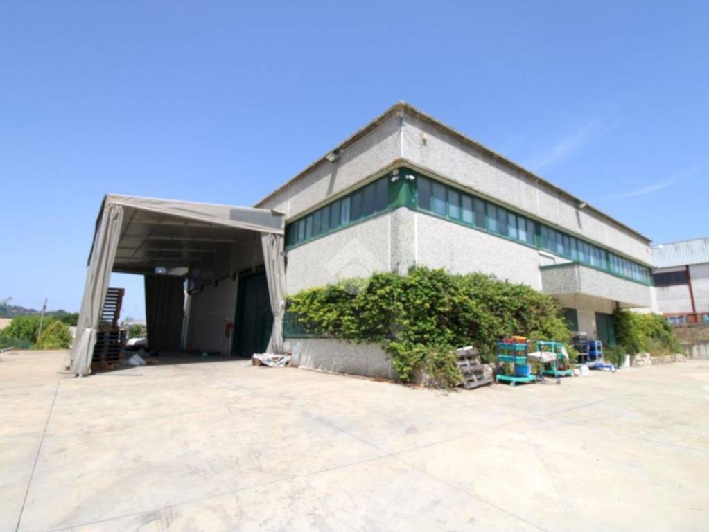 immagine annuncio 4 di 10