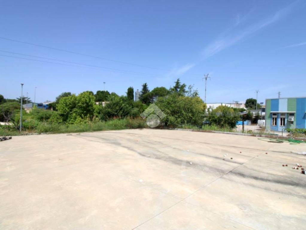 immagine annuncio 5 di 10