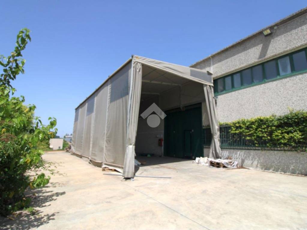 immagine annuncio 8 di 10