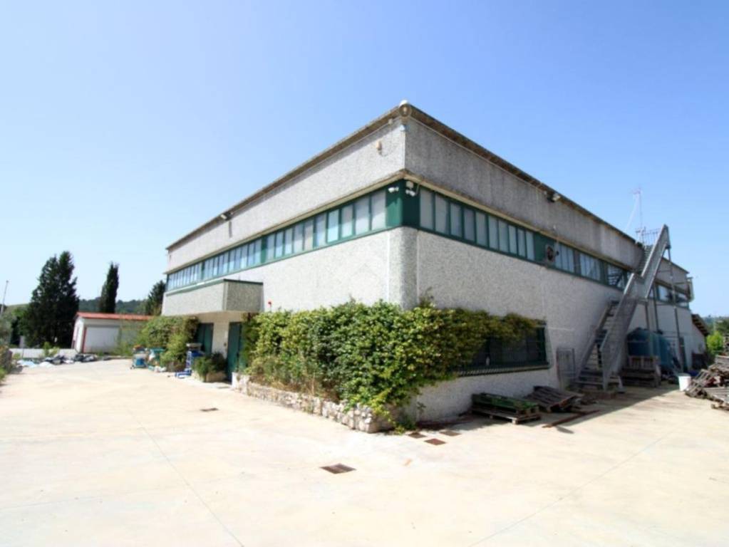 immagine annuncio 9 di 10