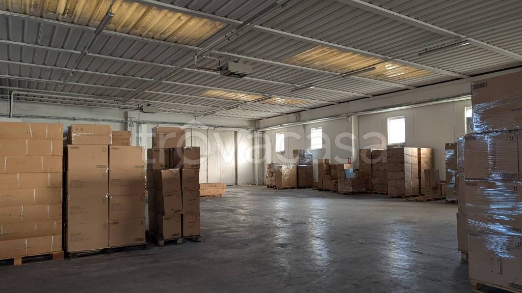 immagine annuncio 1 di 6