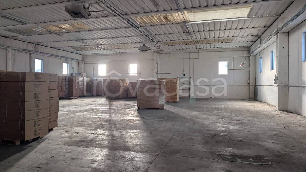 immagine annuncio 2 di 6