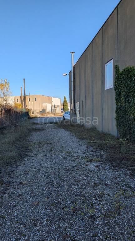 immagine annuncio 3 di 6